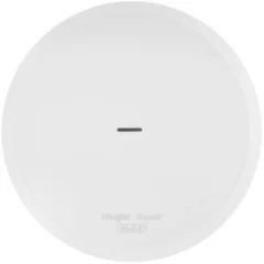 RUIJIE NETWORKS RG-RAP62 до 256 устройств