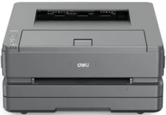 DELI P3100DNW