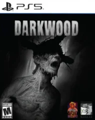 Darkwood (PS5)