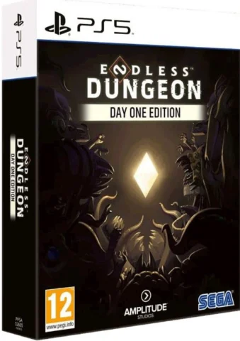 Endless Dungeon (PS5)