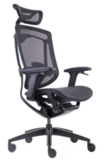 GT Chair Marrit X цвет:
