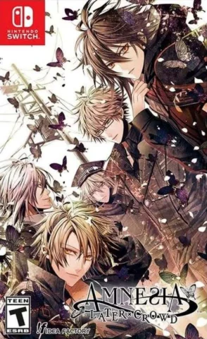 Amnesia: Later x Crowd (Nintendo Switch)