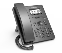 VoiceIP Flying Voice P10P IP 2xEthernet