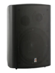 Roxton MS-40TB двухполосная