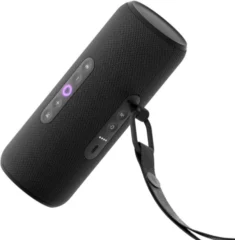 Яндекс Станция Стрит YNDX-00030BLK портативная с Алисой
