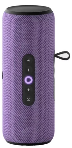 Яндекс Станция Стрит YNDX-00030VIO с Алисой