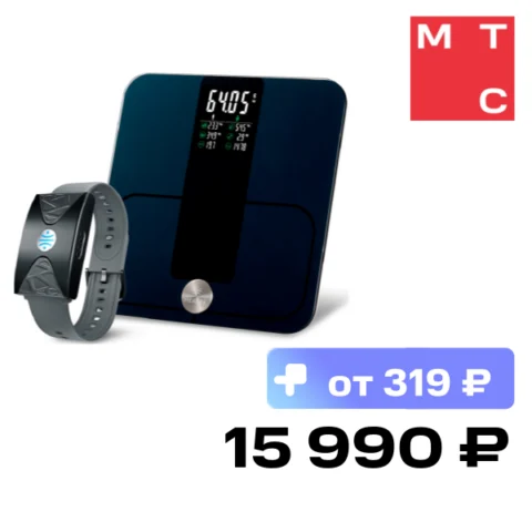 HEALBE Start Control 2: GoBe U + весы Scale Серый/Черный