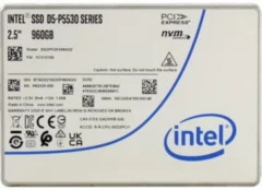 U.2 Intel