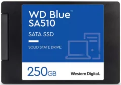 WD WD Blue SA510