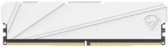Netac Shadow S