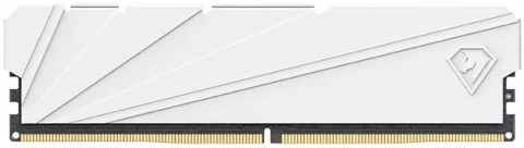 Netac Shadow S