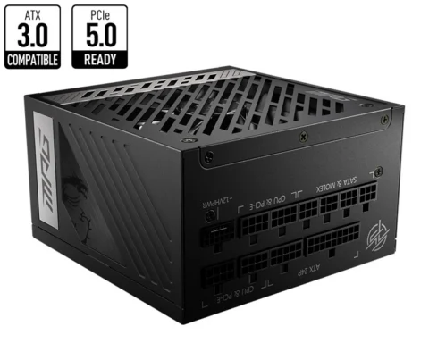 MSI MPG A1000G PCIE5