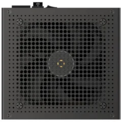 Ocypus Iota P1000