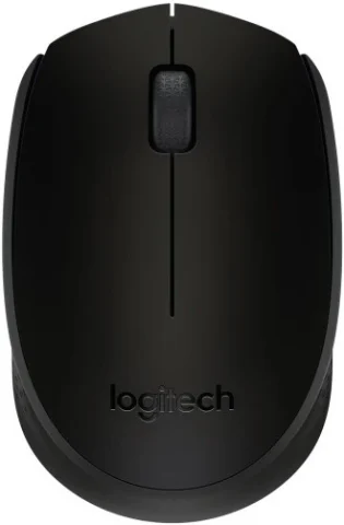 Logitech M171