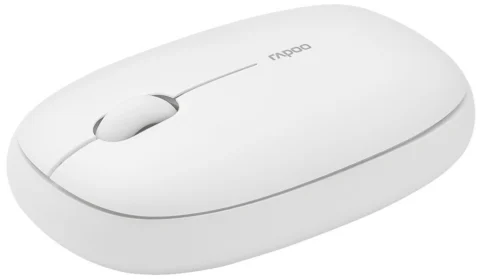 Rapoo M650